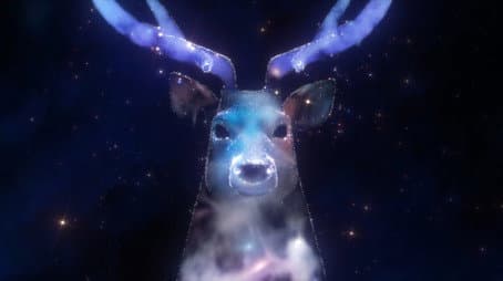 Capitulo 12