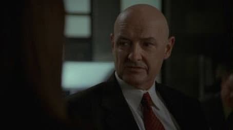 Capitulo 15