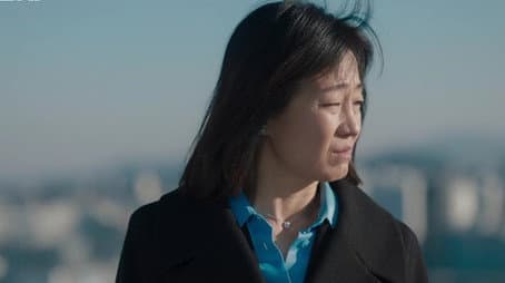 Capitulo 15