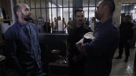 Capitulo 5