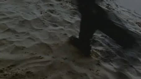 Capitulo 3