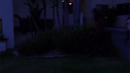 Capitulo 11