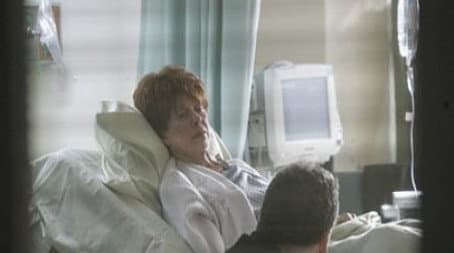 Capitulo 15