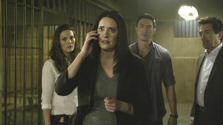 Capitulo 13