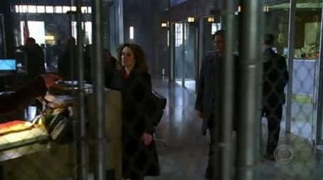 Capitulo 15