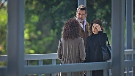 Capitulo 14