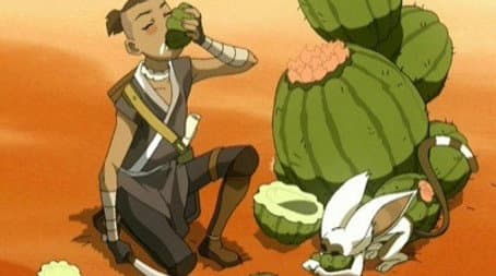 Capitulo 11