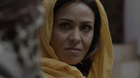 Capitulo 15