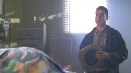 Capitulo 12
