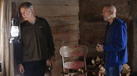 Capitulo 15