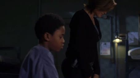 Capitulo 12