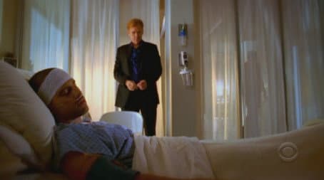 Capitulo 15