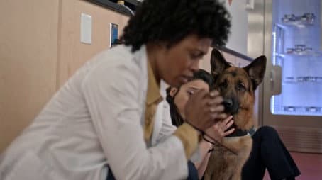 Capitulo 7