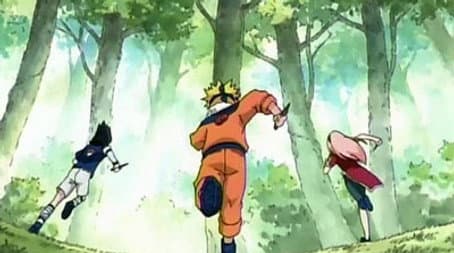 Capitulo 10