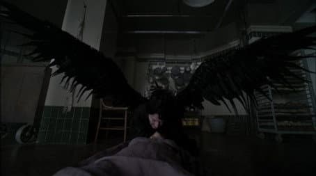 Capitulo 7