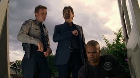 Capitulo 13