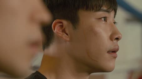 Capitulo 7